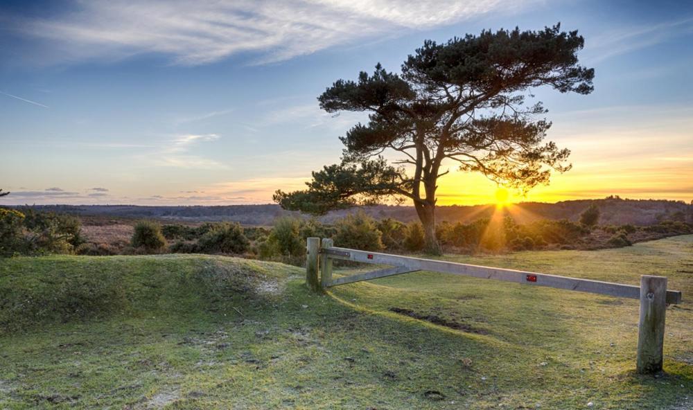 The Knightwood Oak A Luxury King Size En-Suite Space - Lymington New Forest With Totally Private Entrance - Key Box Entry - Free Parking & Private Outdoor Seating Area - Town ,Shops , Pubs & Solent Way Walking Distance & Complimentary Breakfast Items Luaran gambar